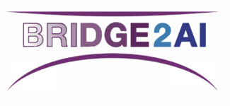 BRIDGE2AI